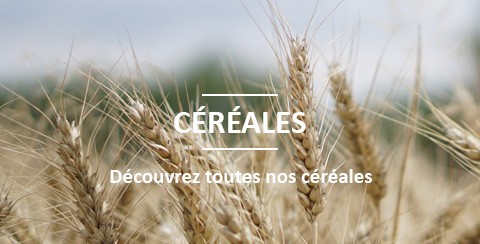 Vente de céréales BIO